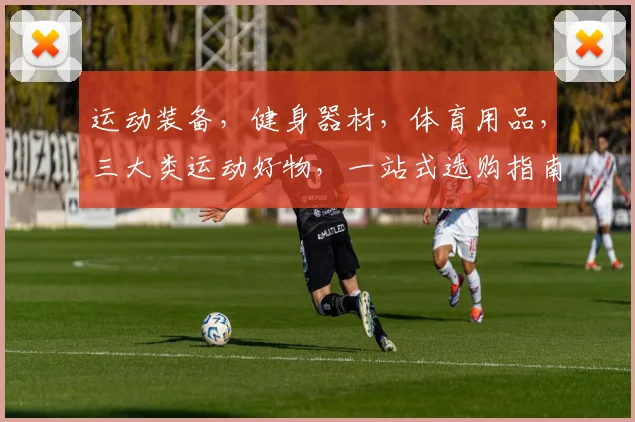 运动装备，健身器材，体育用品，三大类运动好物，一站式选购指南，轻松打造健康生活