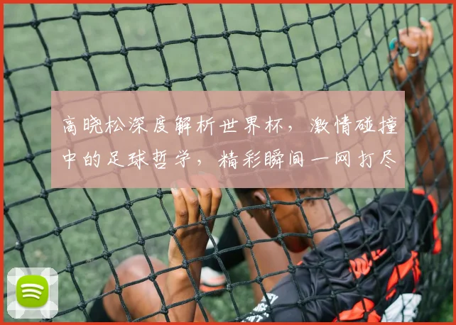 高晓松深度解析世界杯，激情碰撞中的足球哲学，精彩瞬间一网打尽