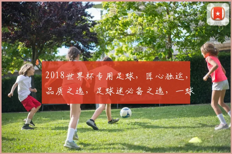 2018世界杯专用足球，匠心独运，品质之选，足球迷必备之选，一球定江山